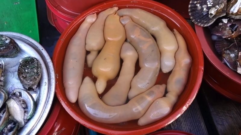 【ユムシ】韓国の魚市場で驚きの生物発見！蠢くソーセージが輪切りに